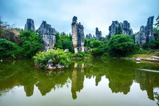 這里的景色憑什么征服全世界？——探尋云南旅行的正確打開方式