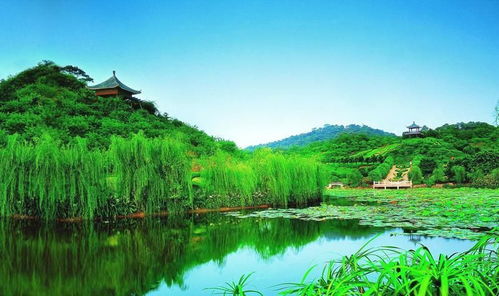 99元暢游西樵山一日游 含特產(chǎn)驚喜，盡覽名勝風(fēng)光