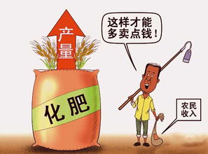 合理使用化肥，實現增產增收的關鍵策略
